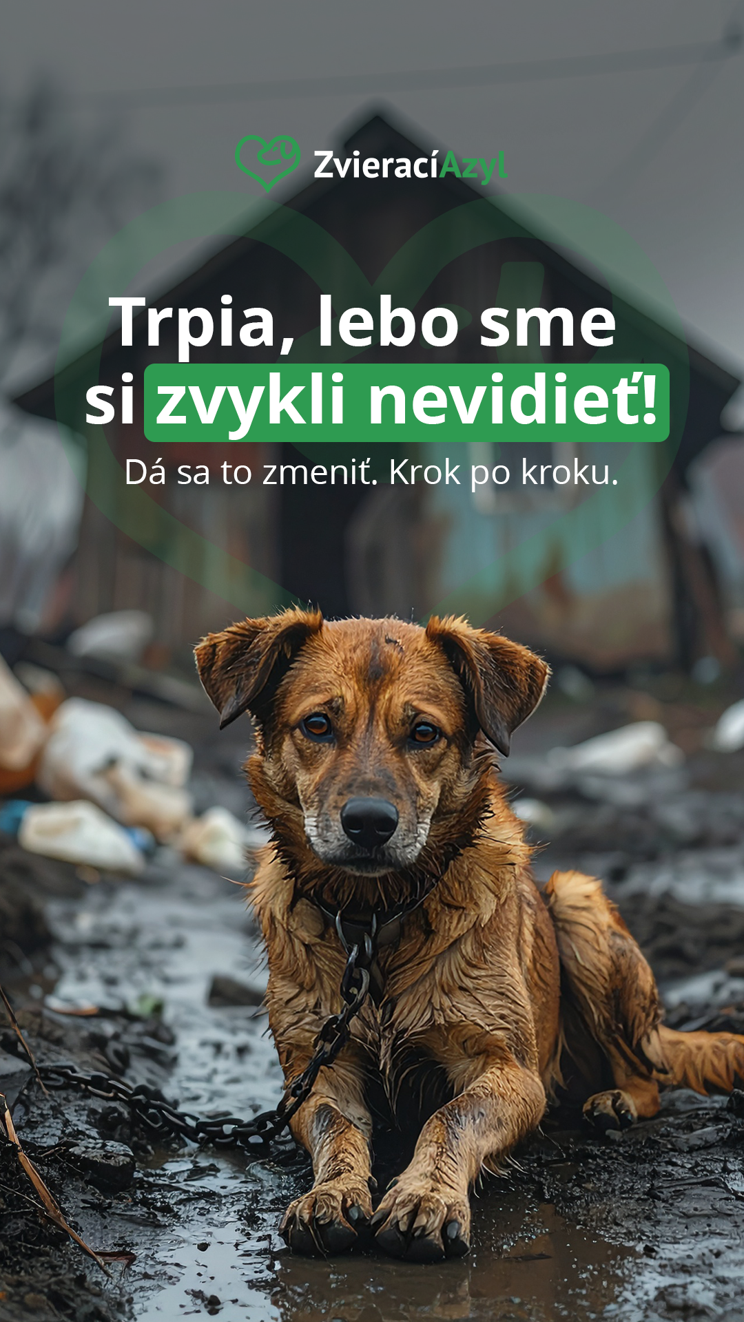 Zvierací Azyl