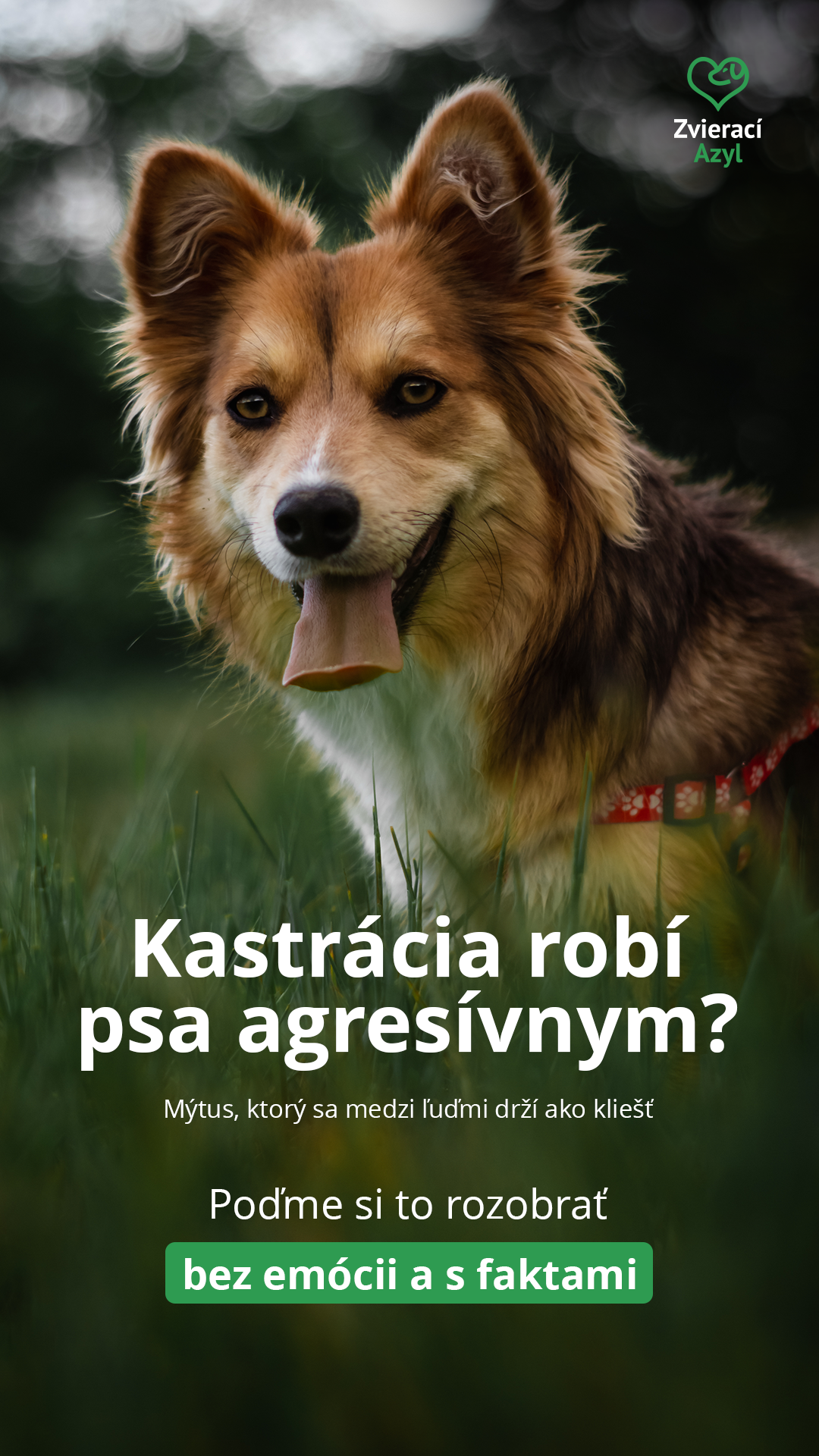 Zvierací Azyl