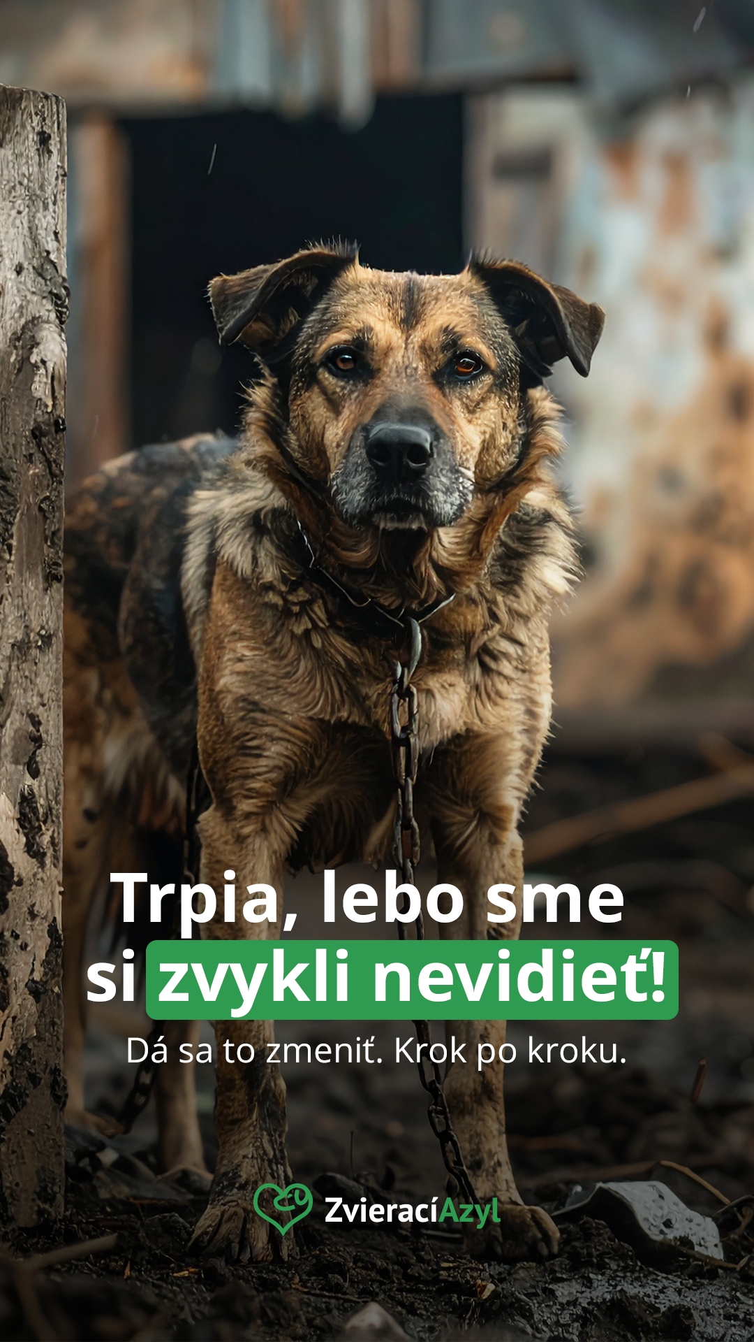 Zvierací Azyl