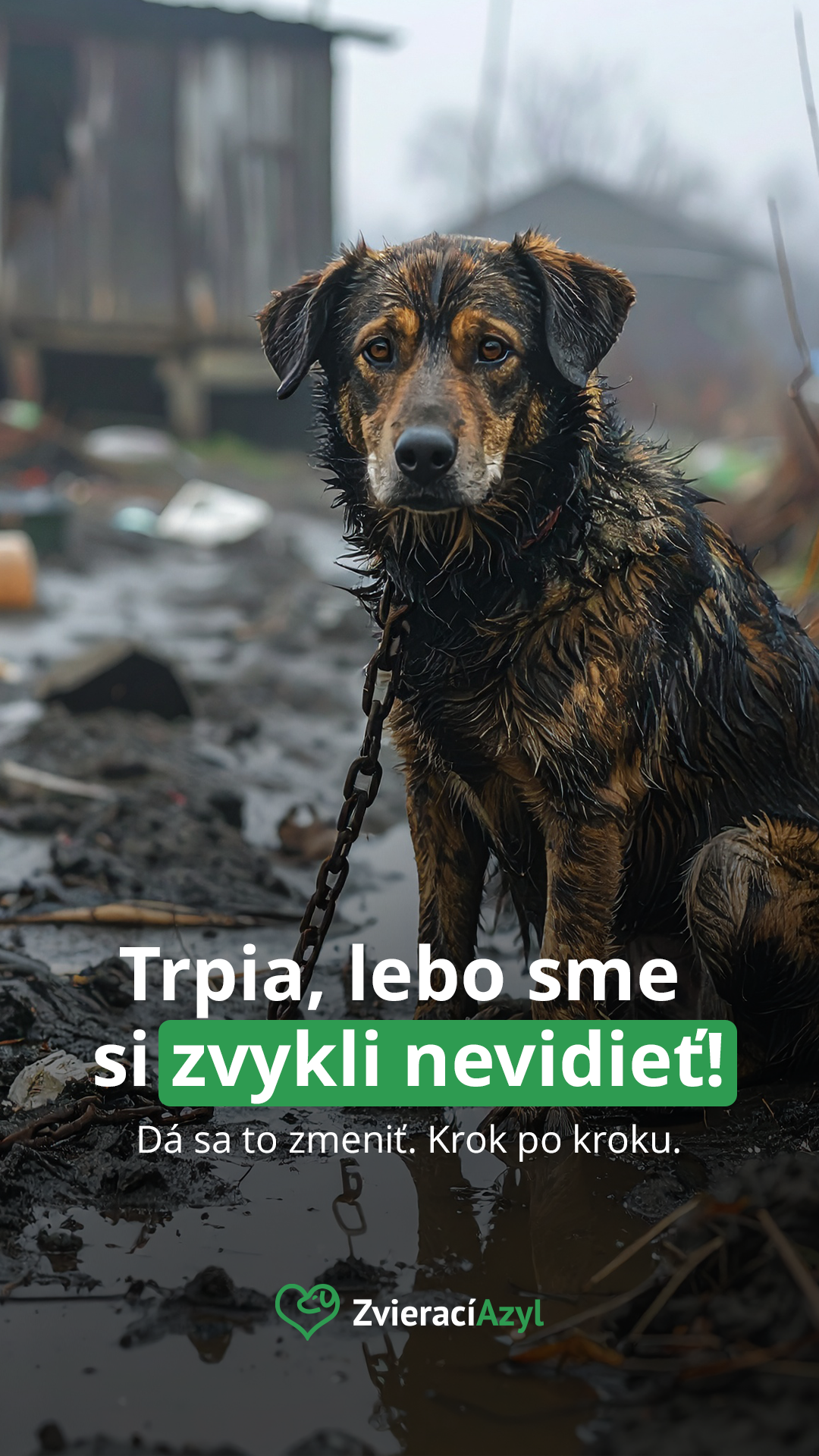 Zvierací Azyl